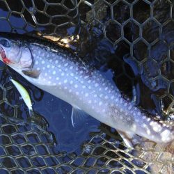 楽しすぎる！ ～平谷湖フィッシングスポット～